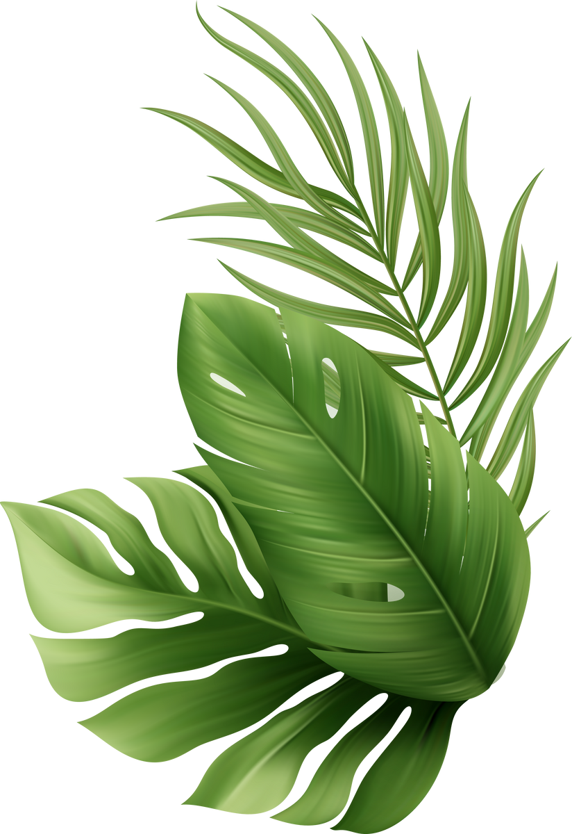 Palm Leaves